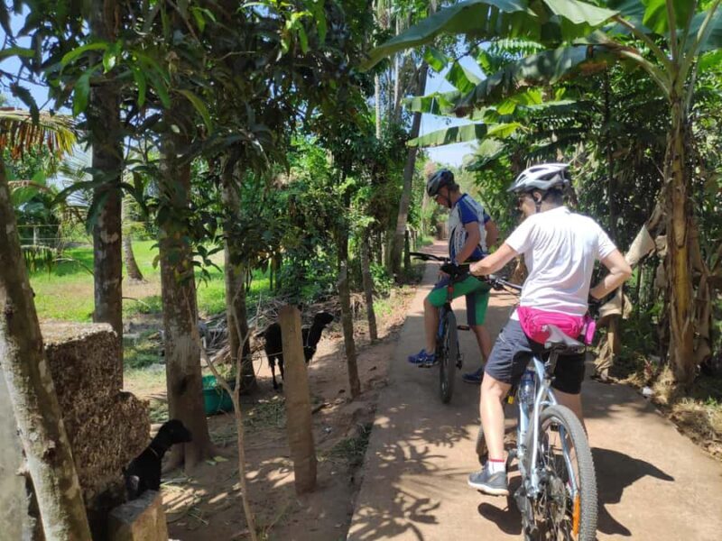 Kerala Backwater Village Cycling Tour (Kumarakom) - Local Interactions & Authenticity