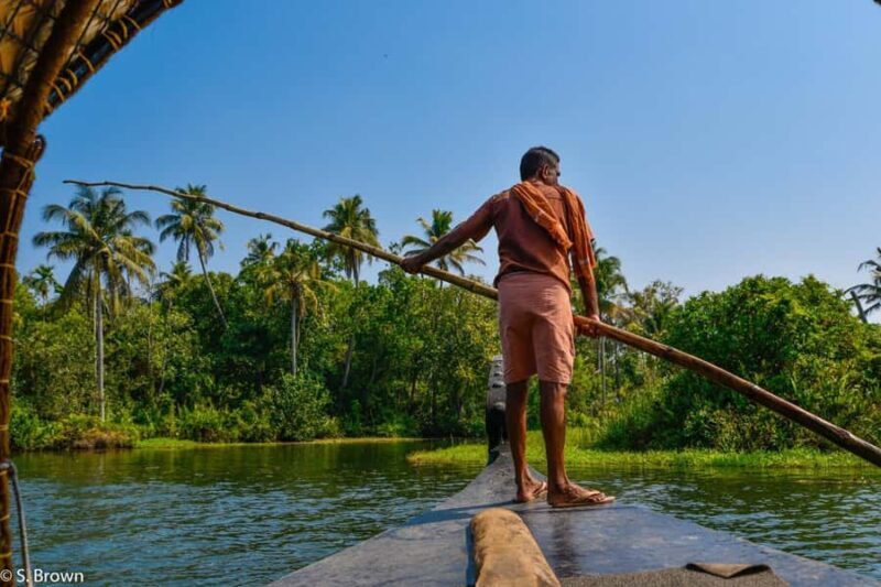 Kerala: Backwater Village Punting Boat Cruise with Lunch - Who Will Love This Experience?