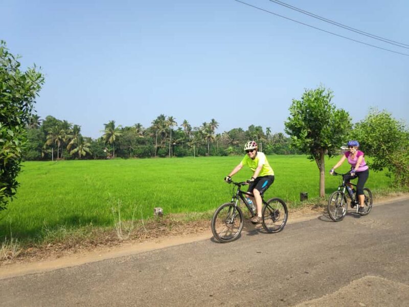 Kerala Beach and Backwater Village Cycling Tour (Alleppey) - Final Thoughts — Why You’ll Love This Tour