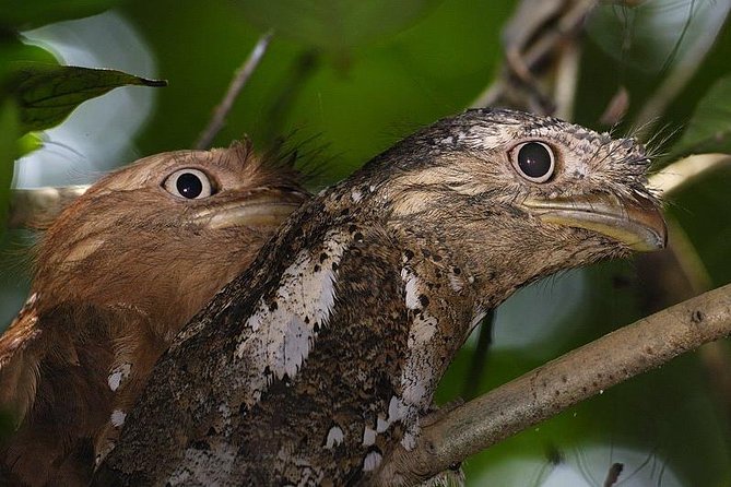 Kerala Bird Watching Tour - Meeting and Pickup Information