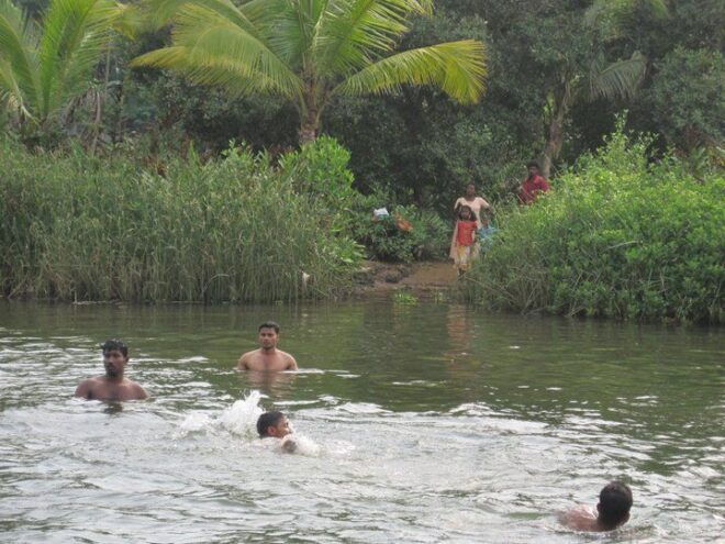 Kerala Full-Day Tour From Kochi With Lunch - Participant and Date Selection