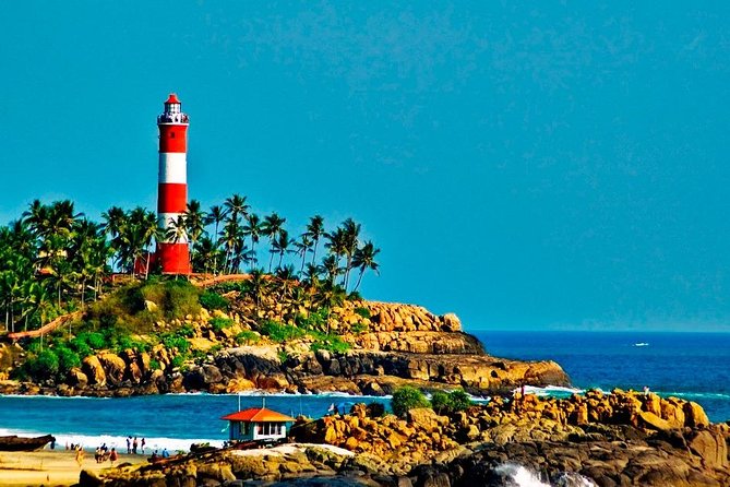 Kerala Luxury Tour From Cochin - 7 Days (Hotel, Houseboat & Transportation) - Accommodation Options and Amenities