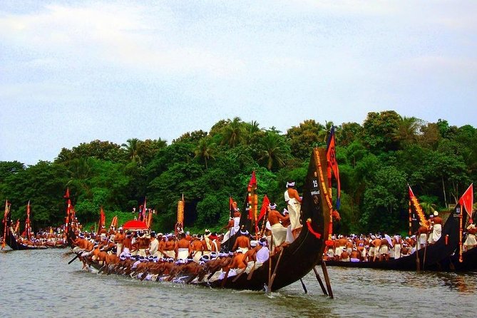 Kerala Luxury Tour From Cochin - 7 Days (Hotel, Houseboat & Transportation) - Dining Experience and Meals Provided