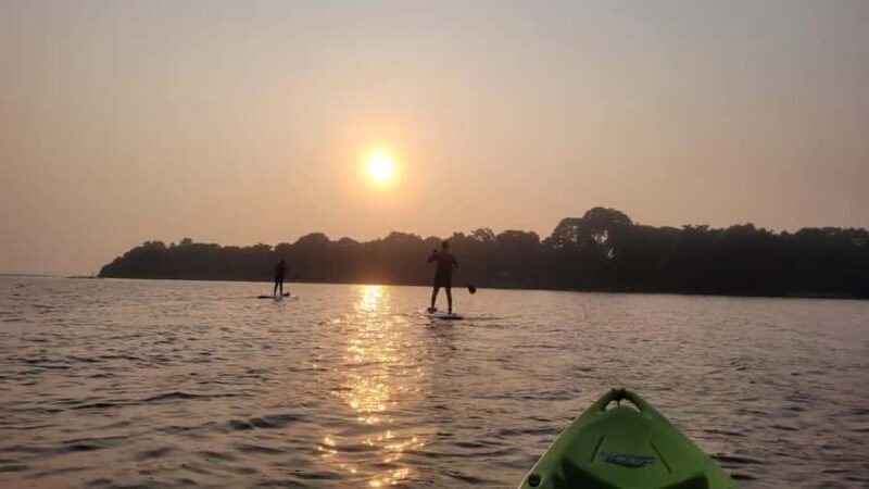 Kerala: SUP or Kayak to Bird's Island with Nature Walk - Why This Tour Stands Out