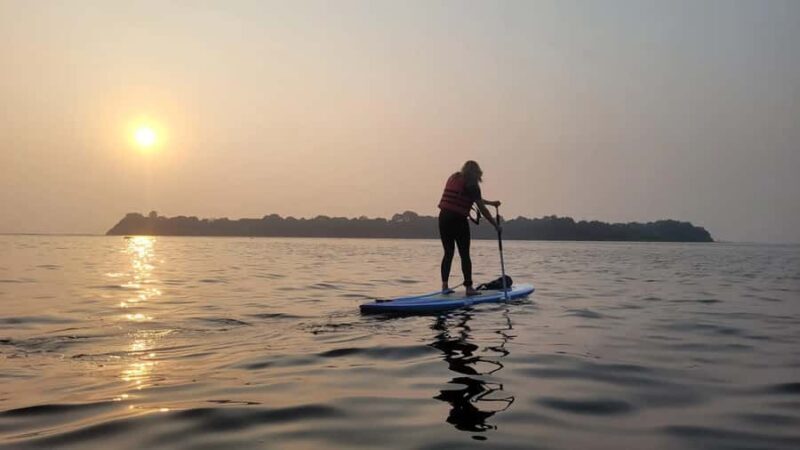 Kerala: SUP or Kayak to Bird's Island with Nature Walk - Final Thoughts