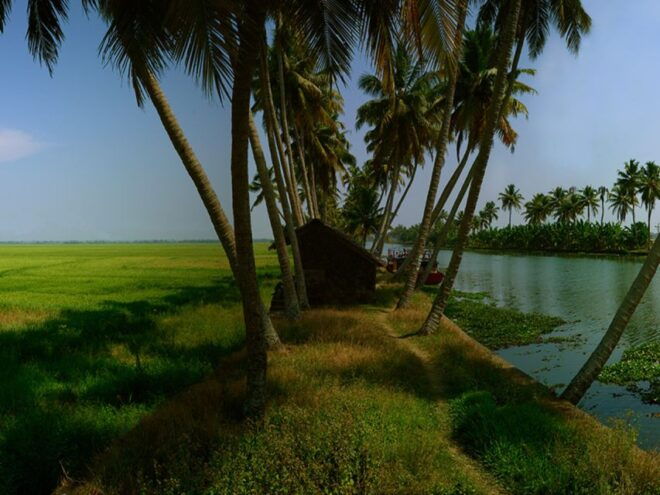 Kerala: Tour to Hidden Gems: Travellers Ethnic Choices: Typo - Restrictions and Important Information