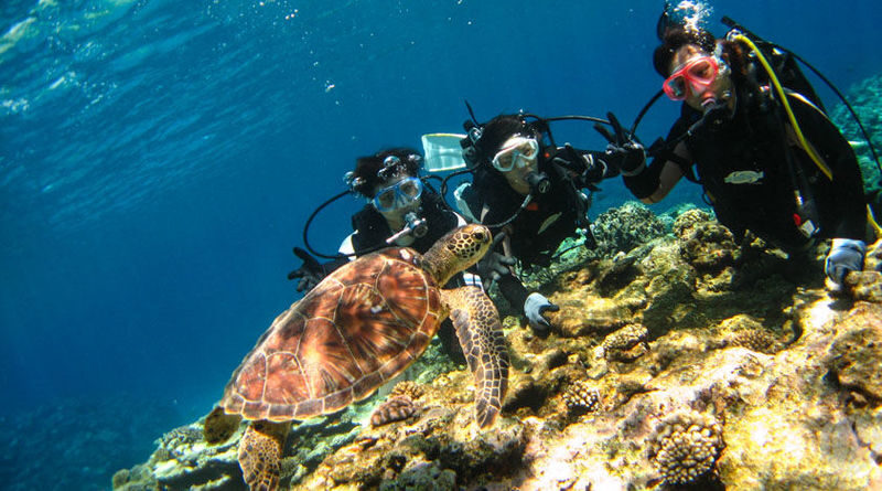 Kerama Island Diving Experience - What the introductory scuba session includes