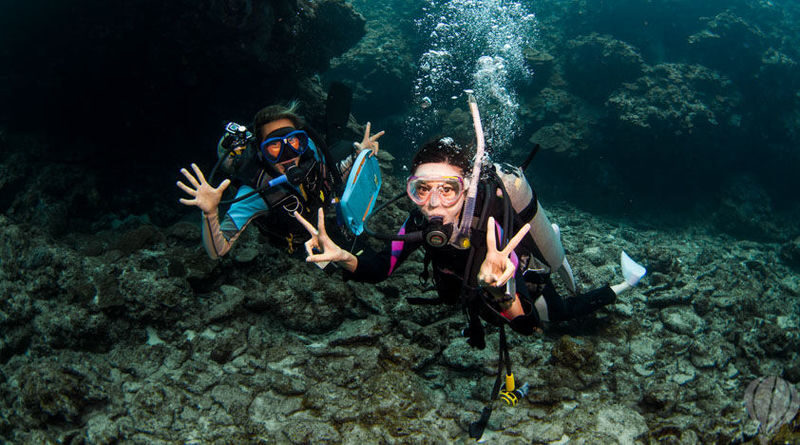 Kerama Island Diving Experience - Lunch, changing, and the comforts aboard