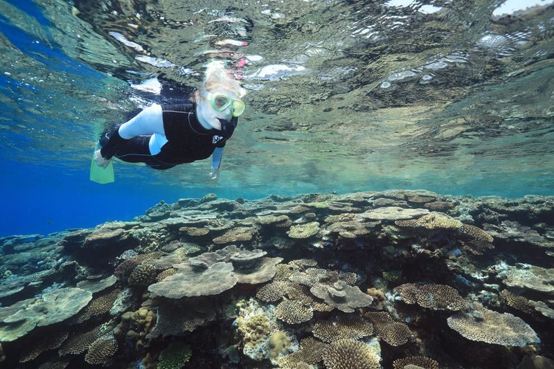 Kerama Island Snorkeling Experience - An early start and a fast boat ride