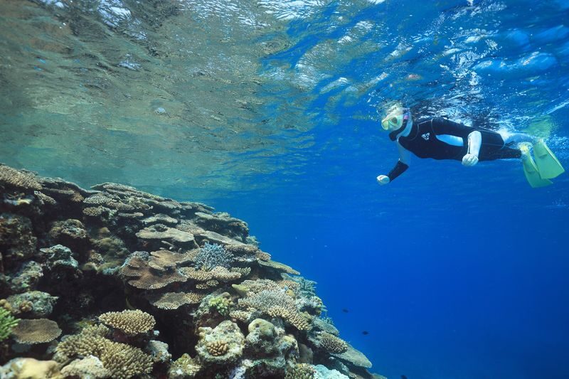 Kerama Island Snorkeling Experience - Guides, safety, and what to ask before you enter