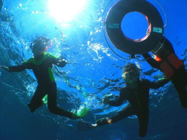 Kerama Islands National Park Experience Diving + Snorkeling - Dining Options