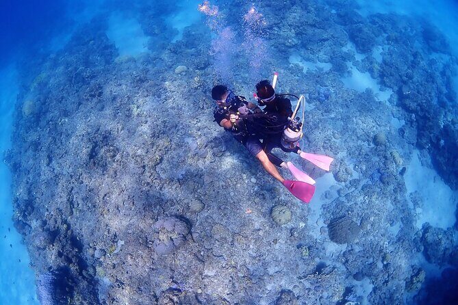 Kerama Snorkeling Tour from Chatan or Naha - Exploring the Kerama Snorkeling Tour from Chatan or Naha: An Honest Review