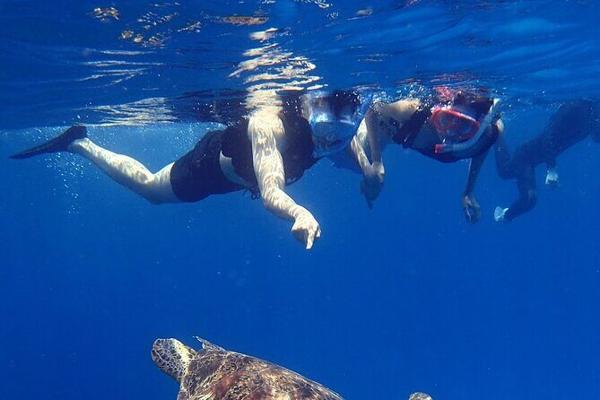 Kerama Snorkeling Tour from Chatan or Naha - The Sum Up: Is It Worth It?