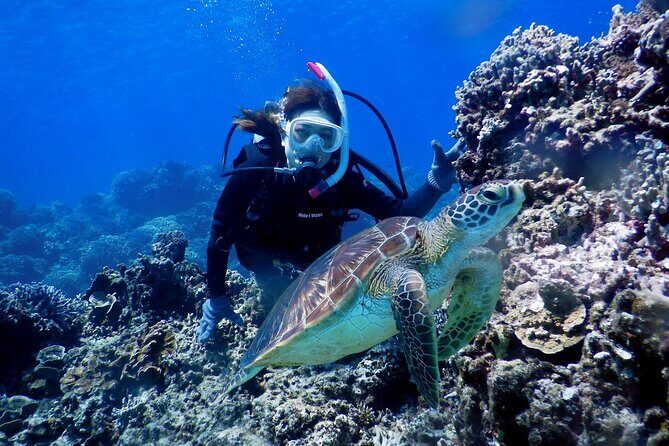 Kerama Snorkeling Tour from Chatan or Naha - FAQ