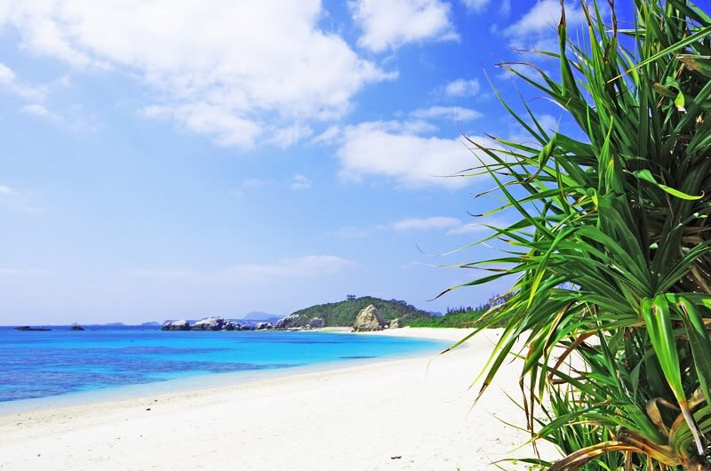 Kerama Tokashiki Island Sea Bathing and Snorkeling Experience - Choosing between swimming and snorkeling