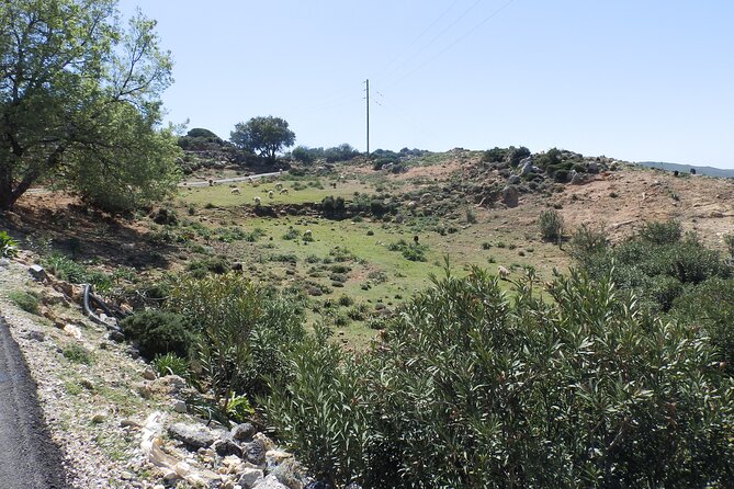 Keramia Traditional Wine and Food Tasting With Panoramic View - Start Time and Opening Hours