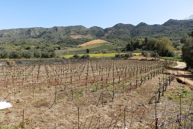 Keramia Traditional Wine and Food Tasting With Panoramic View - Common Questions