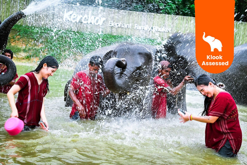 Kerchor Elephant Family Phuket Sanctuary Half Day Visit - Up close with elephants in Kathu