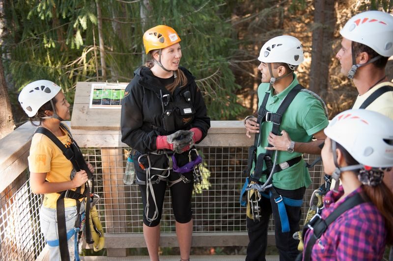 Kereru 2-Zipline and Drop Experience in Queenstown - Two forest ziplines and a controlled drop