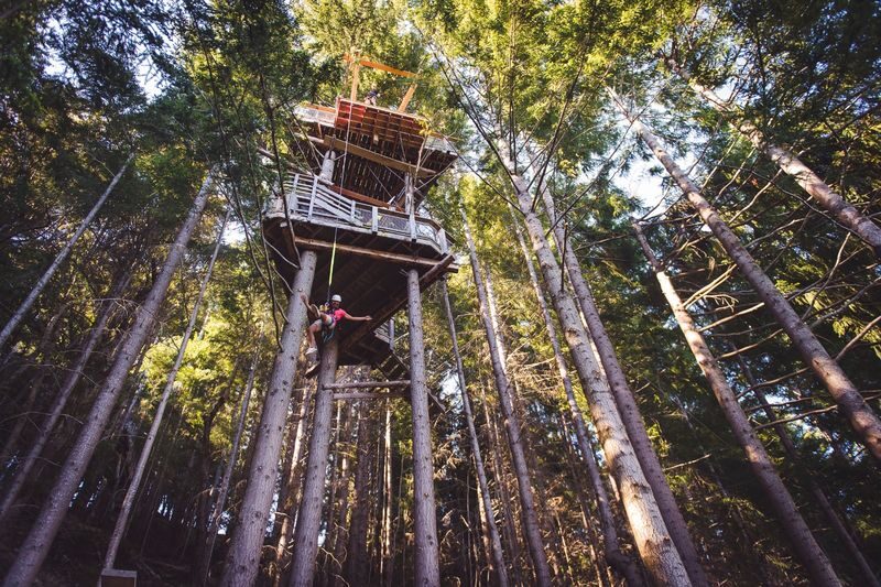 Kereru 2-Zipline and Drop Experience in Queenstown - How the price adds up