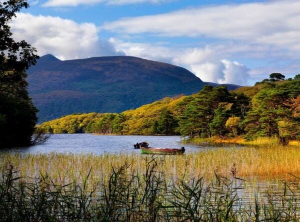 Kerry: Full-Day Tour From Dublin - Town of Killarney: Best-Known in County Kerry