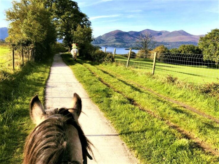 Kerry: Guided Horse Riding Tour in Killarney National Park - Experience Highlights