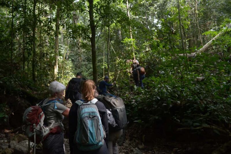 Ketambe Sumatra Jungle Trekking and Rafting - FAQ