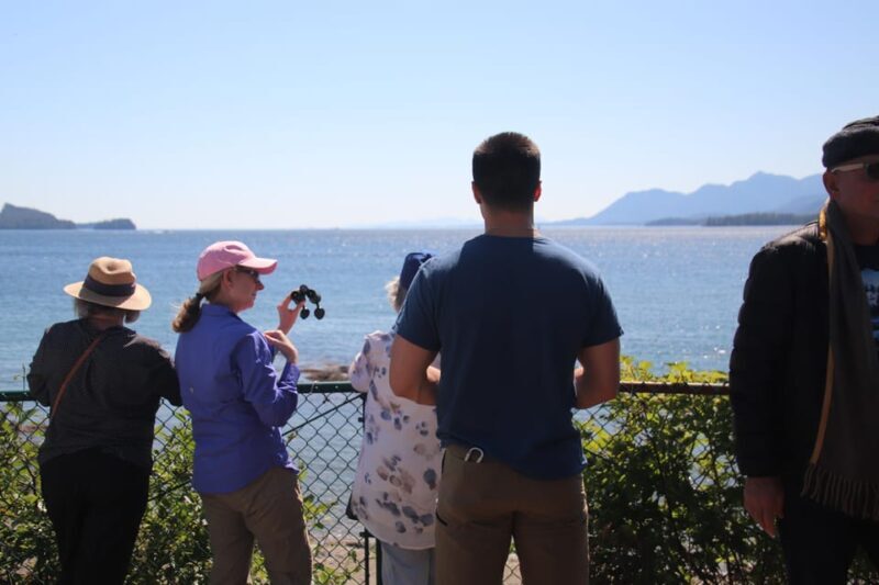 Ketchikan: Alaska Native Cultural and Scenic Shore Excursion - Wildlife Viewing at Four Key Stops