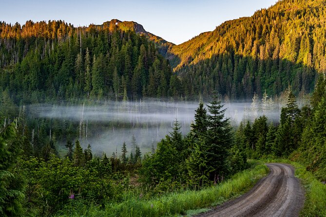 Ketchikan Backcountry Driving Tour Through the Tongass - Tips for a Memorable Backcountry Driving Experience