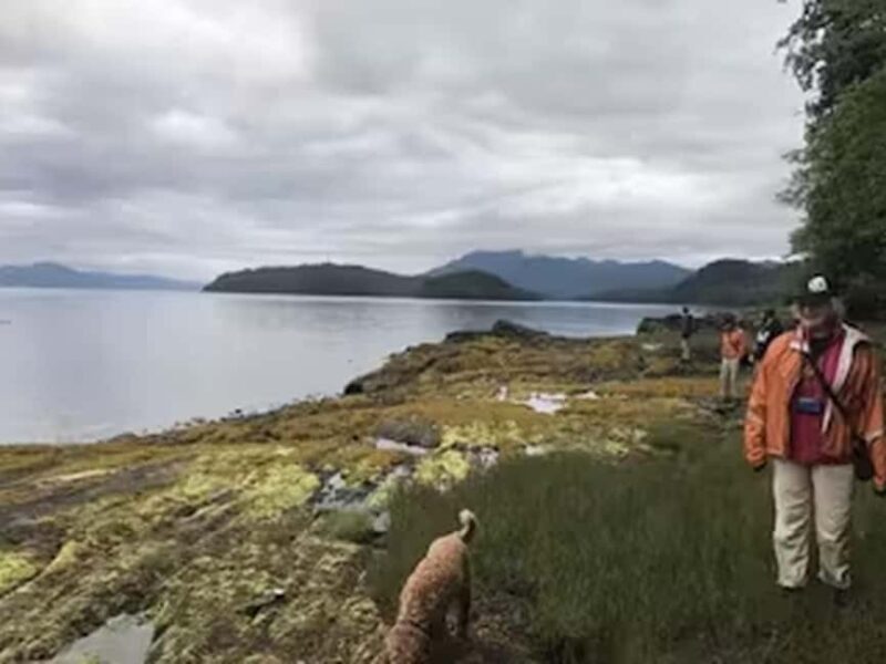 Ketchikan: E-Bike and Hike Tour - Detailed Breakdown of the Tour Experience