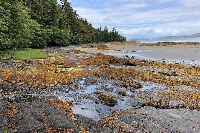 Ketchikan Electric Bike and Rain Forest Hike Ecotour - Tour Itinerary