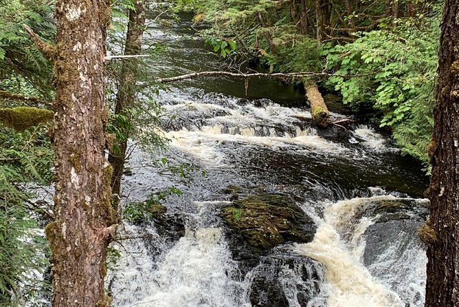 Ketchikan Exclusive Private Group Tour (Price up to 11 Passengers) - Tour Overview and Inclusions