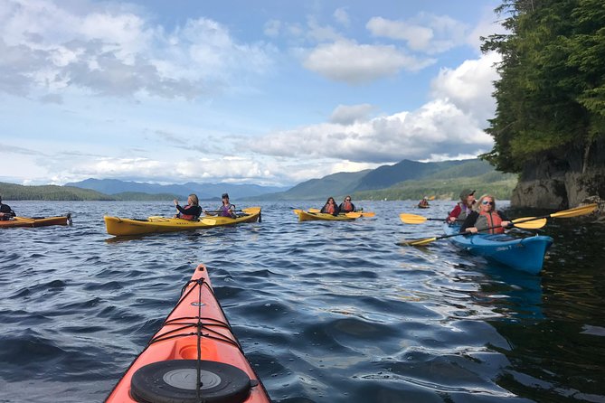 Ketchikan Kayak Eco-Tour - Wildlife Encounters