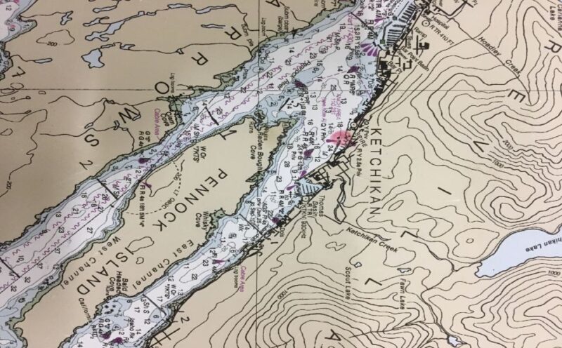 Ketchikan: Marine Wildlife and Whale Watching Boat Tour - Good To Know