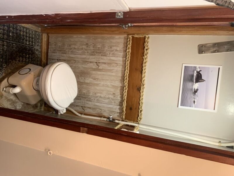 Ketchikan: Marine Wildlife and Whale Watching Boat Tour - Weather Considerations and Practical Tips