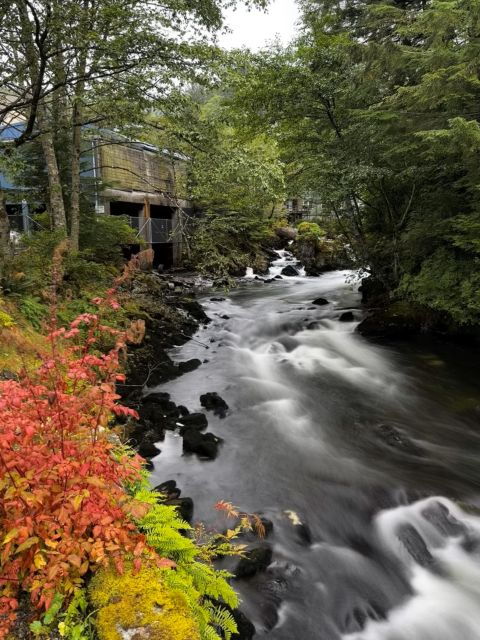 Ketchikan Photo Safari - Meeting Locations and Pickup Details
