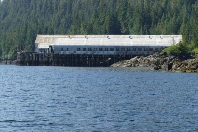 Ketchikan: Private Scenic Drive & George Inlet Fjords Cruise - Age Restrictions