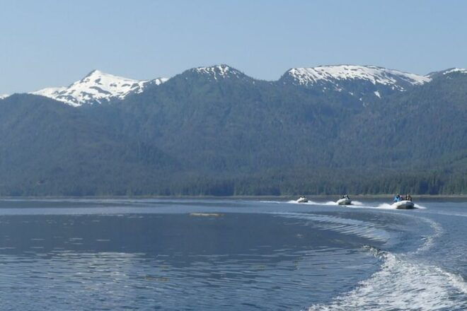 Ketchikan: Private Scenic Drive & George Inlet Fjords Cruise - Reviews