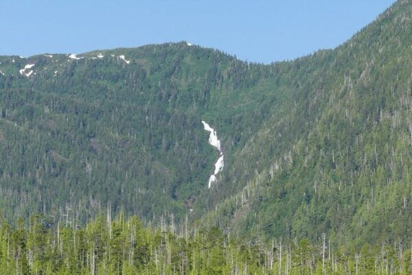 Ketchikan: Private Scenic Drive & George Inlet Fjords Cruise - Common Questions
