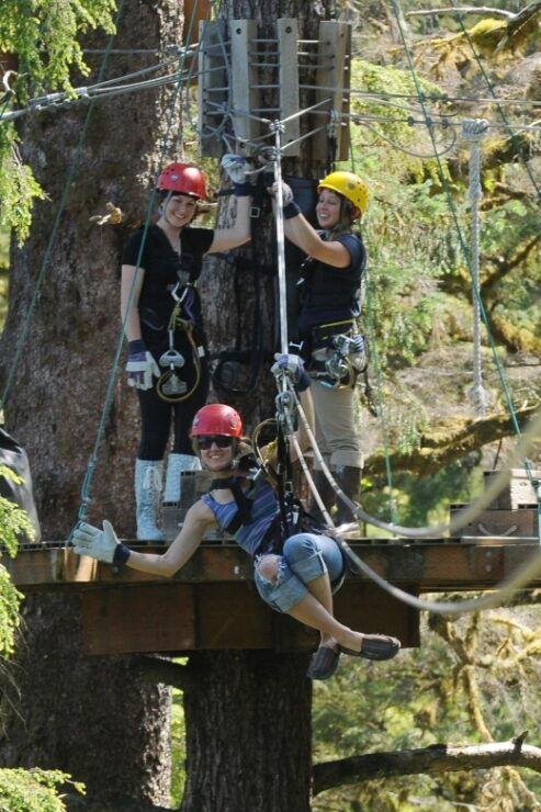 Ketchikan: Rainforest Zipline, Skybridge, & Rappel Adventure - Activity Details