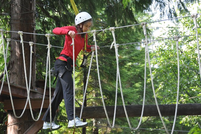Ketchikan Shore Excursion: Rainforest Canopy Ropes and Zipline Adventure Park - What to Expect