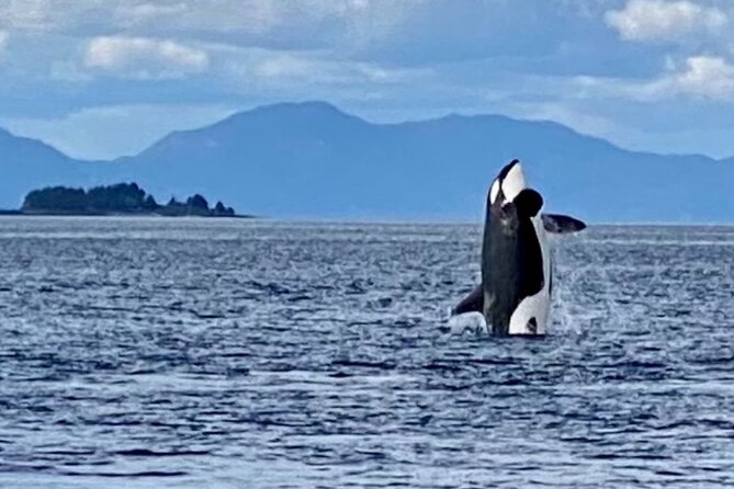 Ketchikan: Small-Group Land and Sea Combo Tour - Background