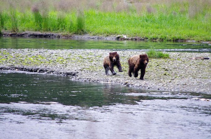 Ketchikan: Small-Group Marine Wildlife Zodiac Expedition - Knowledgeable Guides