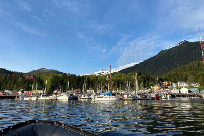 Ketchikan: Small-Group Marine Wildlife Zodiac Expedition - The Importance of Rain Gear