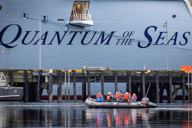 Ketchikan: Small-Group Marine Wildlife Zodiac Expedition - Captivating Moments With Marine Wildlife