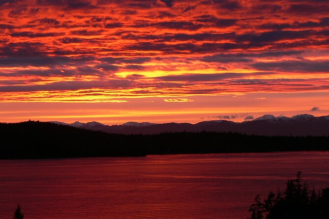 Ketchikan: Small-Group Photography Tour - Traveler Photos and Reviews