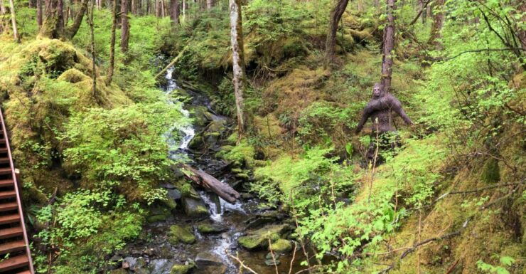 Ketchikan: Tongass Forest Alaska Bigfoot ATV Ride and Hike - Highlights