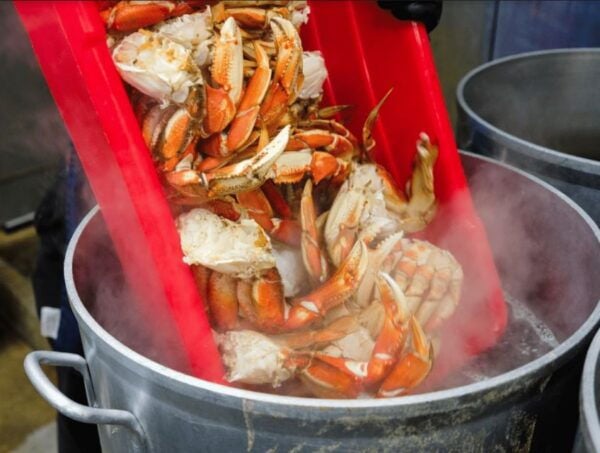 Ketchikan: Wilderness Boat Cruise and Crab Feast Lunch - The Sum Up