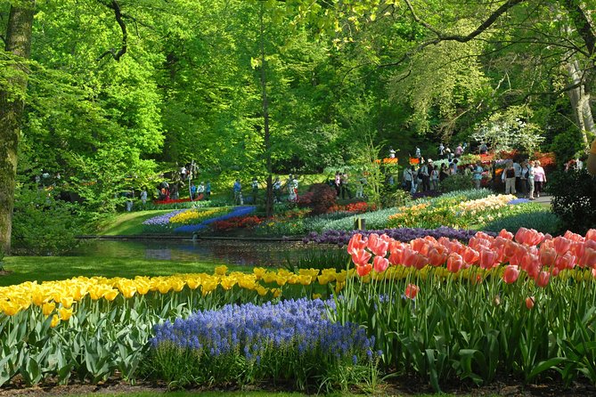 Keukenhof and Flower Fields Private Tour From Amsterdam - Price