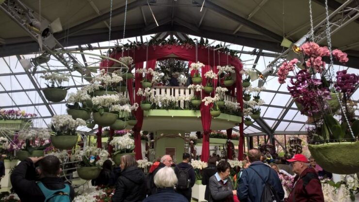 Keukenhof and Zaanse Schans Small-Group Tour From Amsterdam - Free Cancellation and Duration